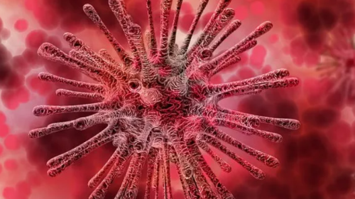 Virus Grafik Virus Grafik