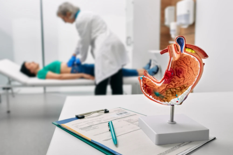 Online-Rezeption Gastroenterologie Person wird untersucht und im Vordergrund sieht man ein Modell eines Organs