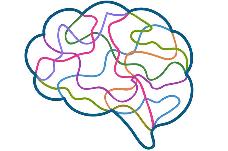 Gehirn Neurologie Bunte Gehinrdarstellung